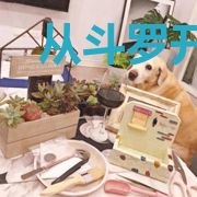 从斗罗开始的反派