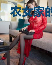 农女家的赘婿首辅
