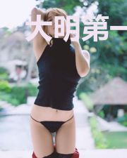 大明第一败家子顶点