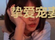 挚爱宠妻叶清欢邵允琛