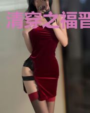 清穿之福晋贤良