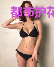 都市护花天王免费阅读