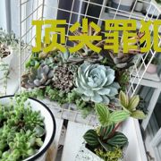 顶尖罪犯之守望系统