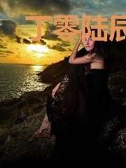 丁零陆辰司