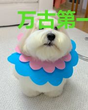万古第一佛