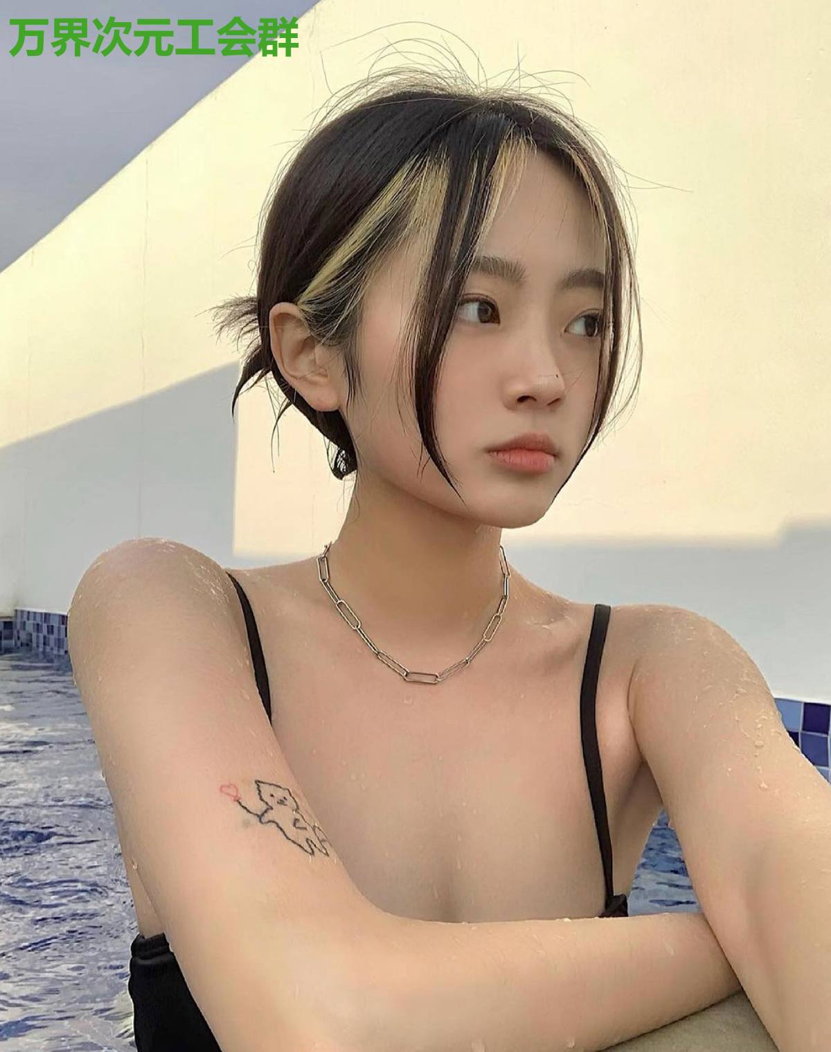 万界次元工会群