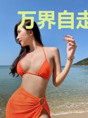 万界自走棋