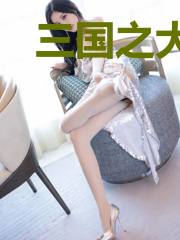 三国之大厨无双