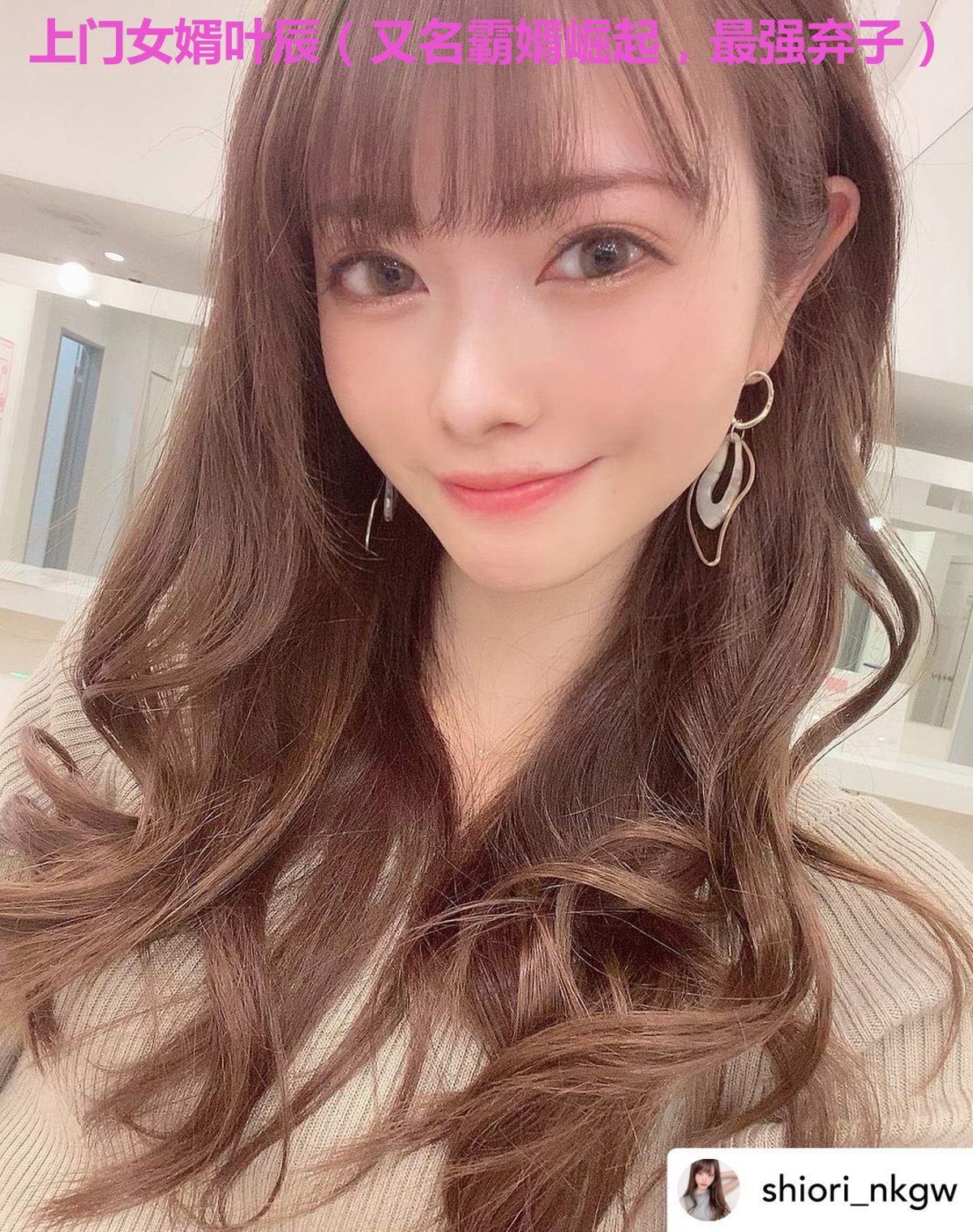 上门女婿叶辰（又名霸婿崛起，最强弃子）