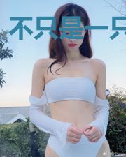 不只是一只猴子