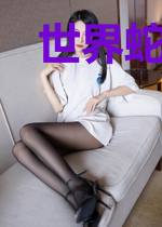 世界蛇：龙与剑的崛起