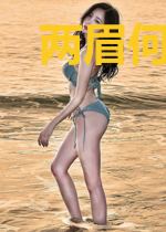 两眉何处月如钩
