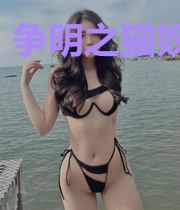 争明之猫奴学士