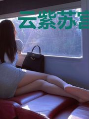 云紫苏宫氿寒