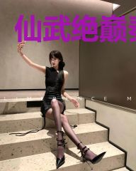 仙武绝巅秦风