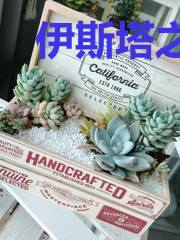 伊斯塔之息