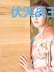 伏天战王苏涵月