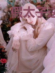 假太子逆袭南明