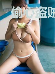 偷心盗贼之极品小仙妃