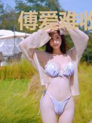 傅爱难收宋晚