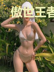 傲世王者楚枫