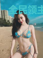 全民领主：灾难纪元