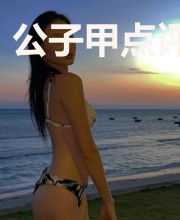公子甲点评札记