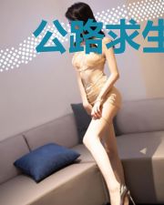 公路求生：一发入魂，制作必升品