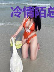 冷情陌总变脸快