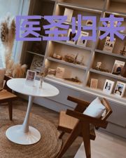 医圣归来叶军