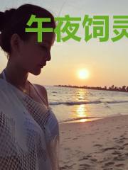 午夜饲灵指南