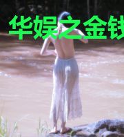 华娱之金钱系统