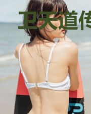 卫天道传奇