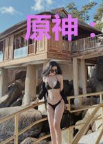原神：驯服雷神