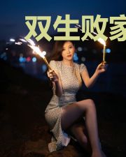 双生败家仔