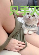 只手灭苍穹