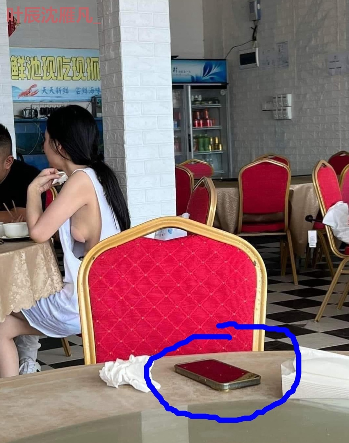 叶辰沈雁凡_