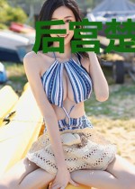 后宫楚汐传