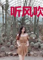 听风吹的声音