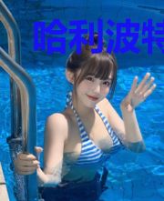 哈利波特之崩坏大表哥