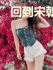 回到宋朝当皇帝