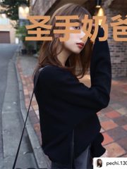 圣手奶爸陆不凡苏清雪