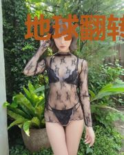 地球翻转面