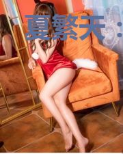 夏繁天:人格骗局(共2册)