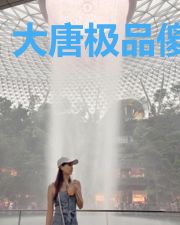 大唐极品傻皇子