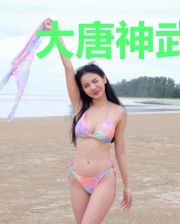 大唐神武传