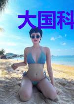 大国科技从山寨系统开始