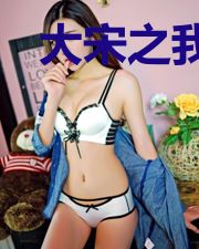 大宋之我是朝廷鹰犬