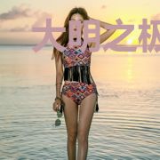 大明之极品军火库