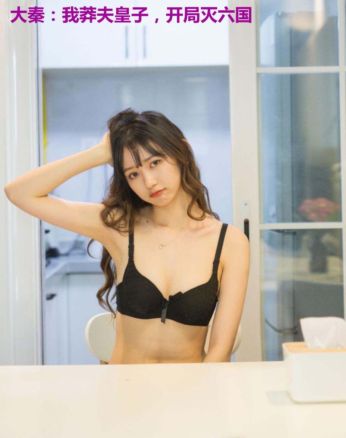大秦:我莽夫皇子,开局灭六国